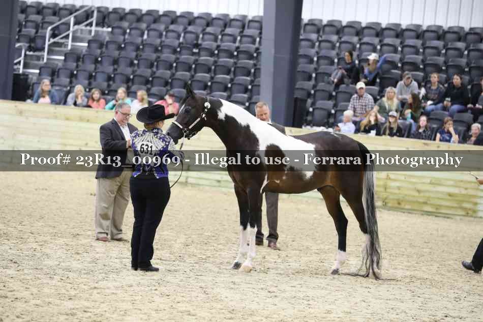 Proof 23R13_00969