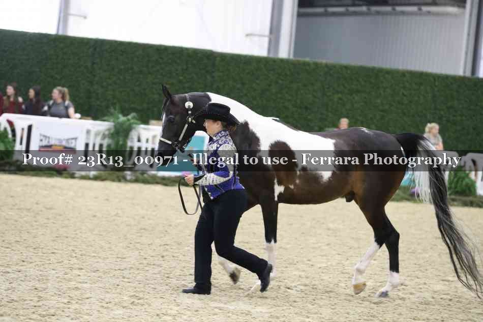 Proof 23R13_00971