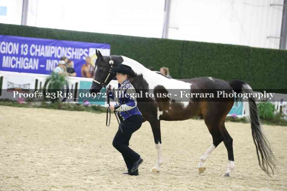 Proof 23R13_00972