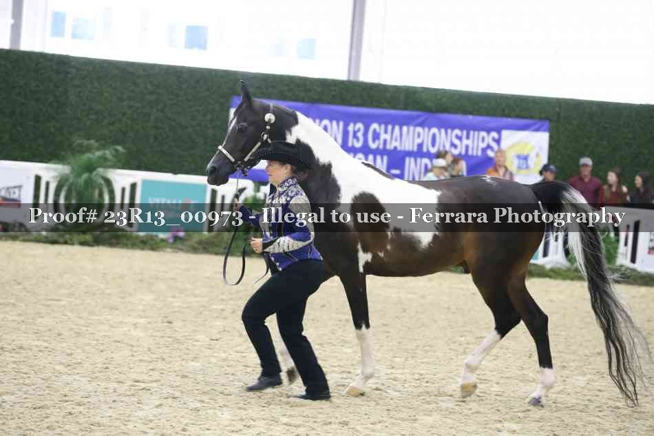 Proof 23R13_00973