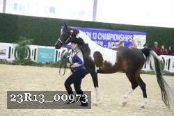 23R13_00973 proof
