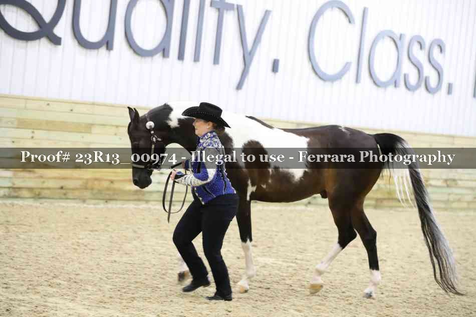 Proof 23R13_00974