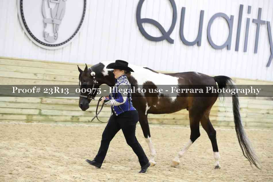 Proof 23R13_00975