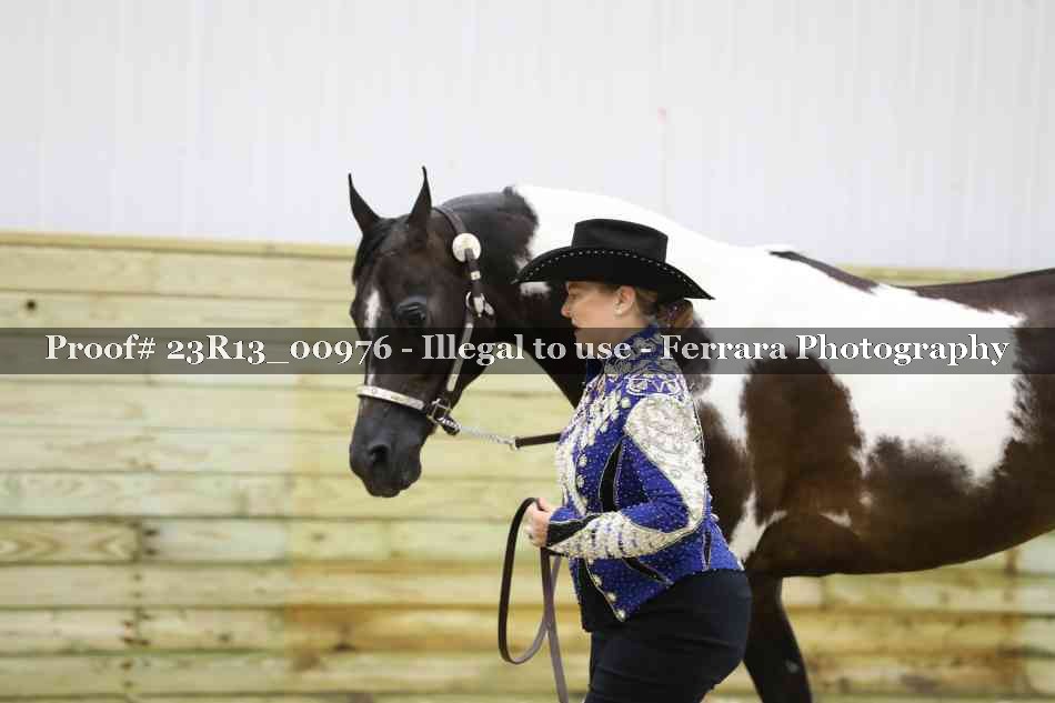 Proof 23R13_00976