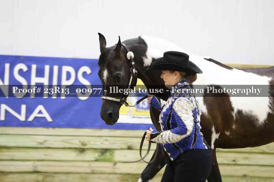 Proof 23R13_00977