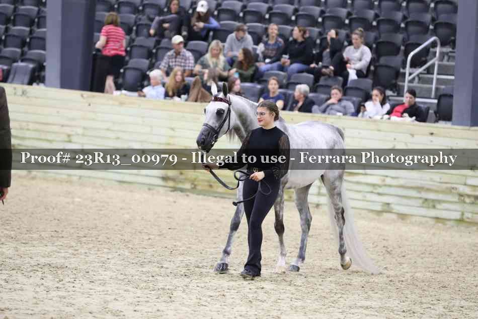 Proof 23R13_00979