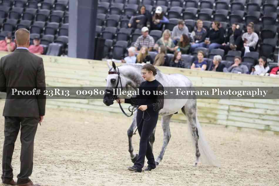 Proof 23R13_00980