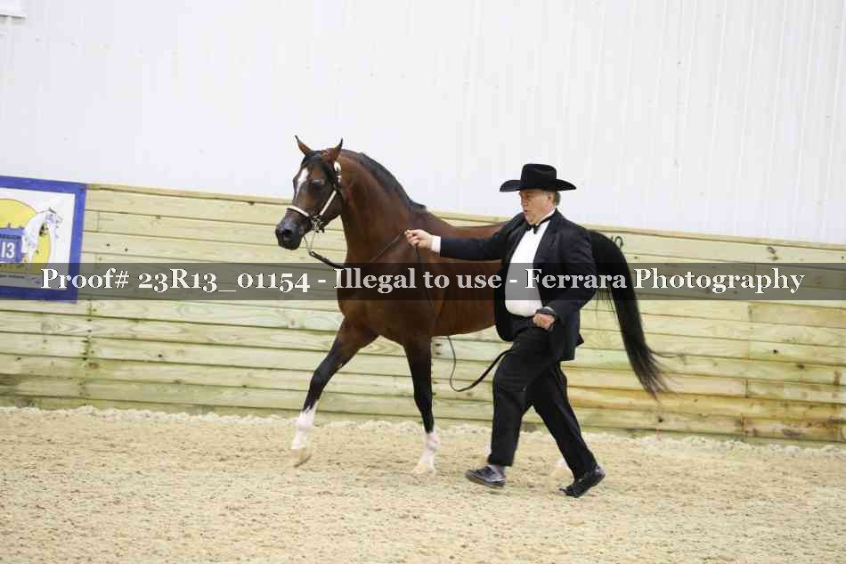 Proof 23R13_01154
