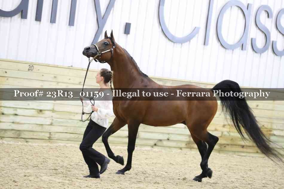 Proof 23R13_01159
