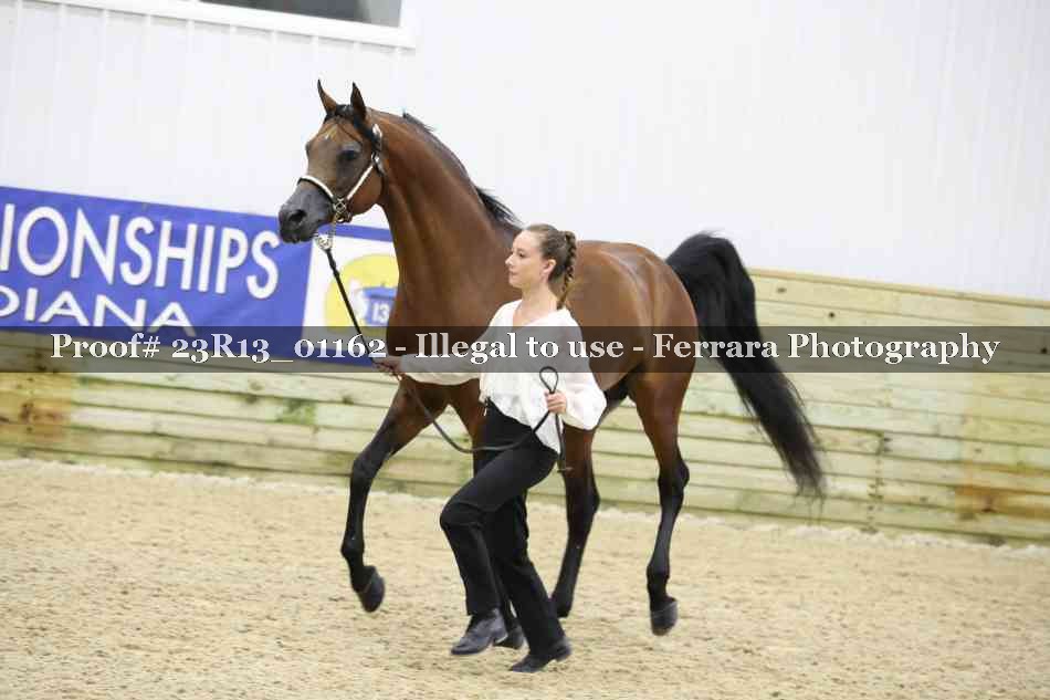 Proof 23R13_01162