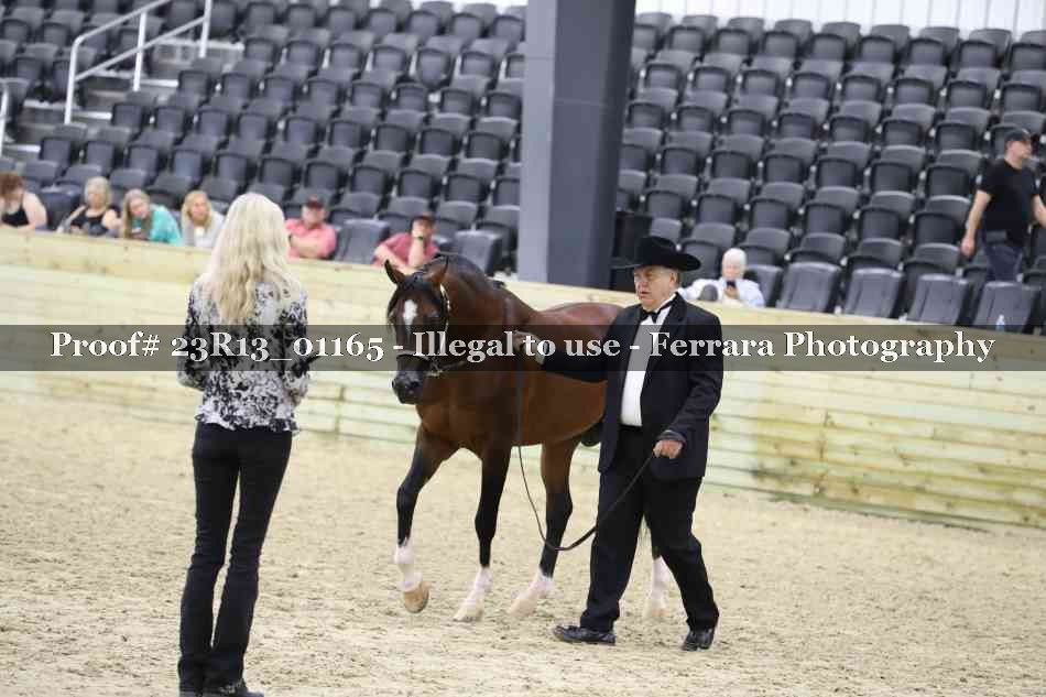 Proof 23R13_01165
