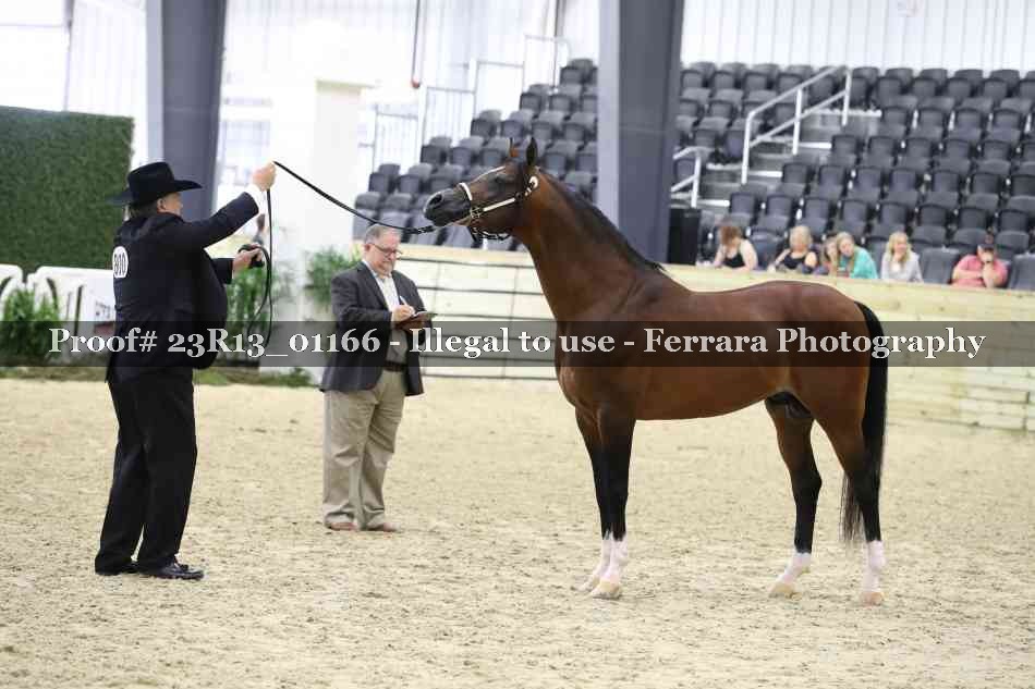 Proof 23R13_01166