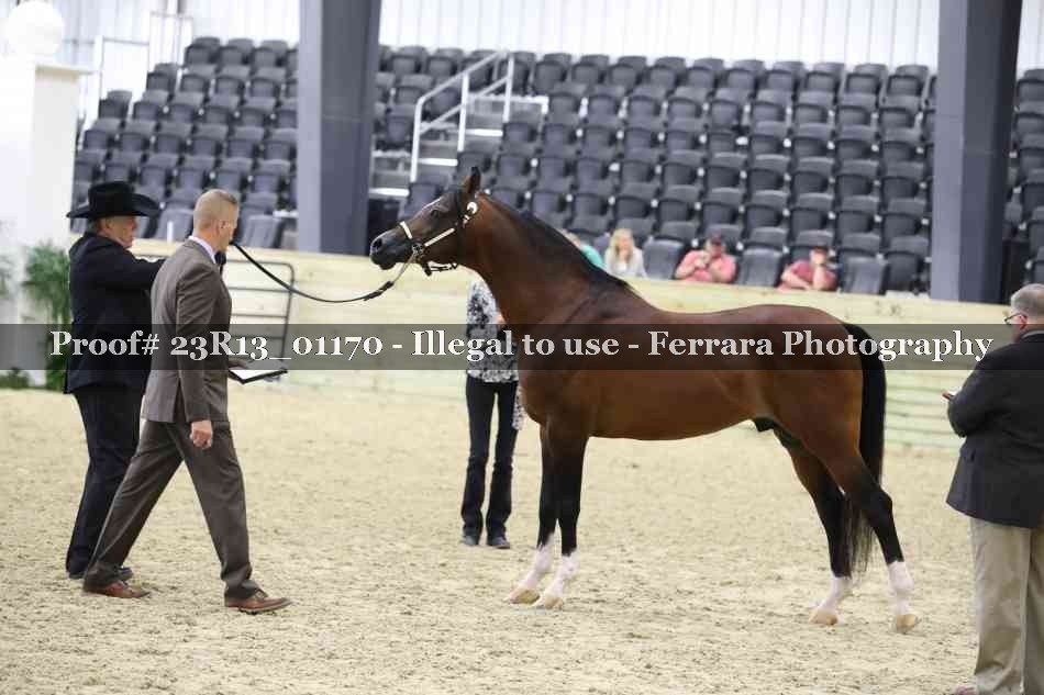 Proof 23R13_01170