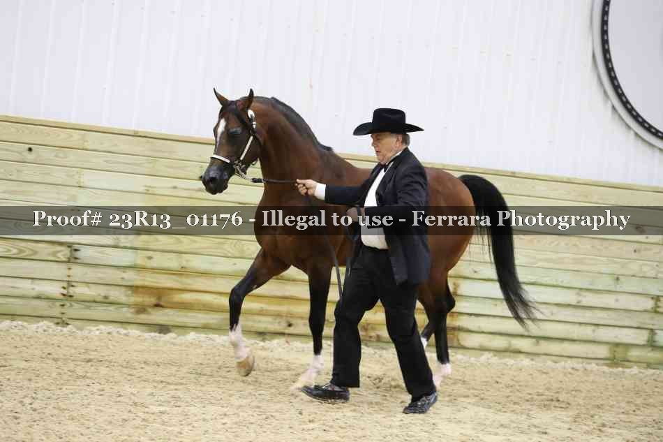 Proof 23R13_01176