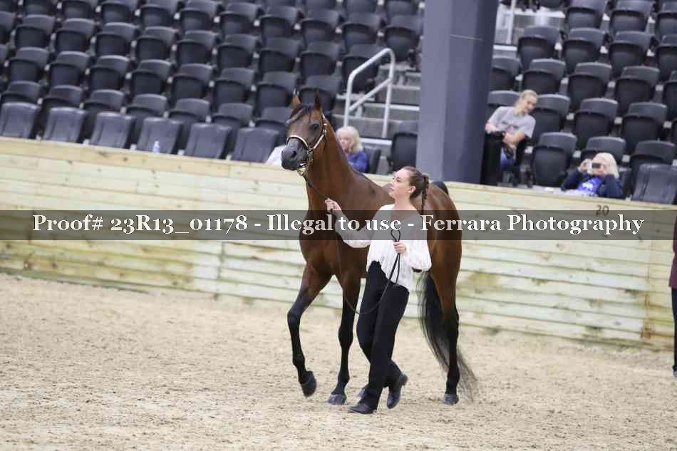 Proof 23R13_01178