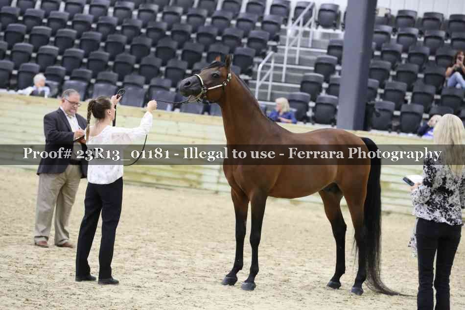 Proof 23R13_01181
