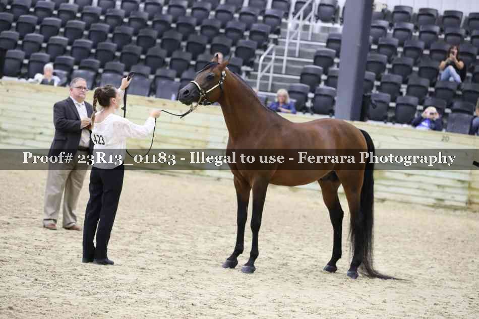 Proof 23R13_01183