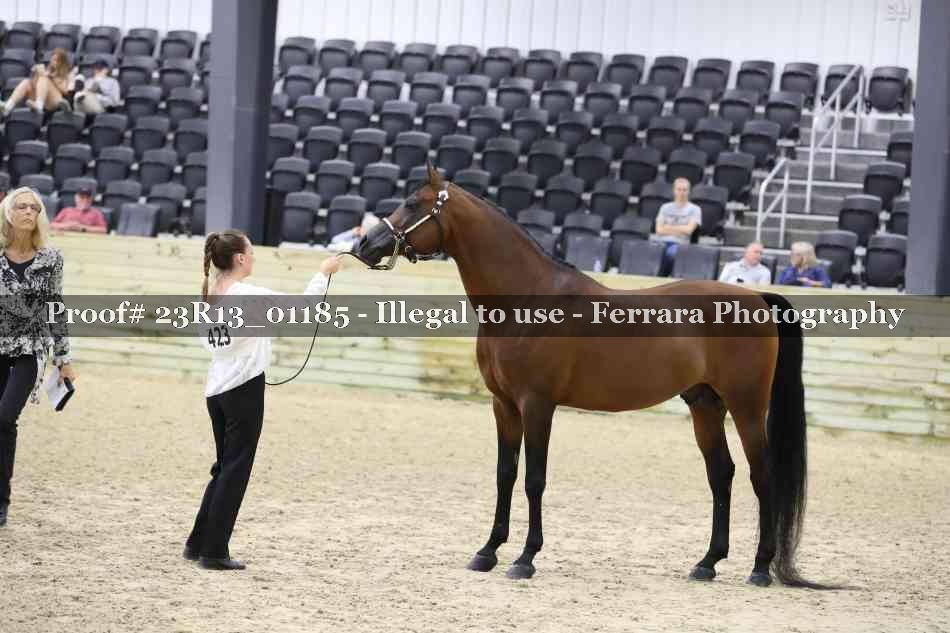Proof 23R13_01185