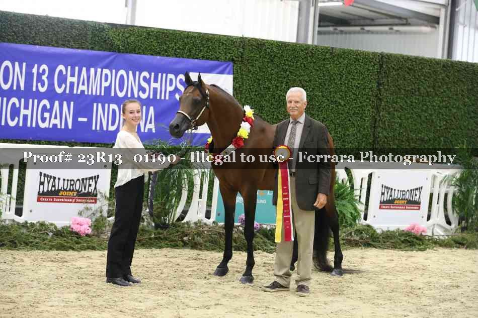 Proof 23R13_01190