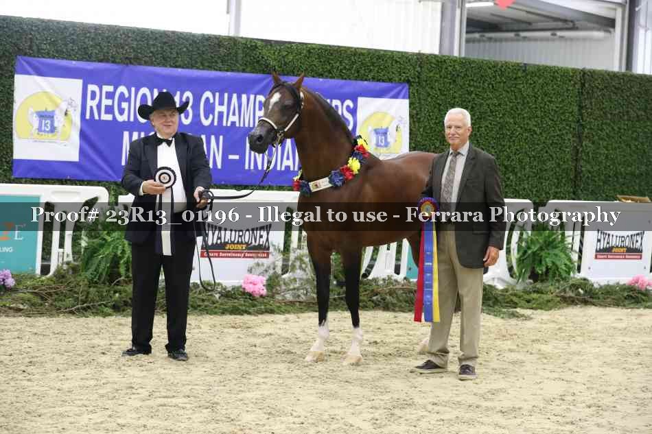 Proof 23R13_01196