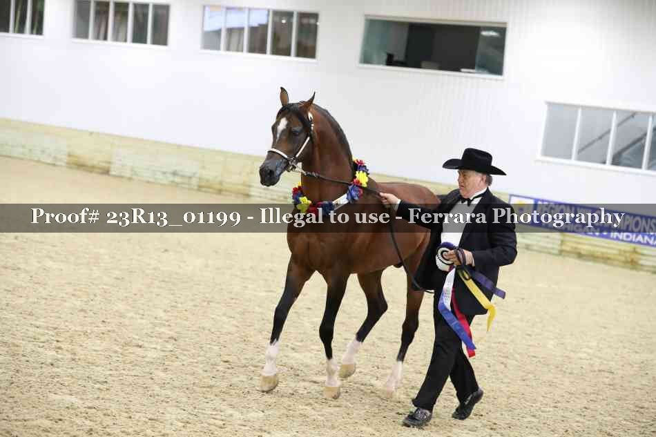 Proof 23R13_01199