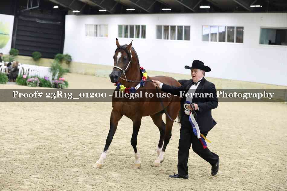 Proof 23R13_01200