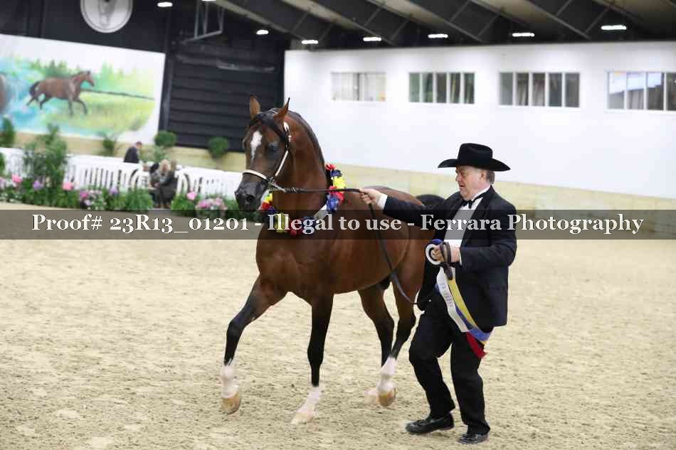 Proof 23R13_01201