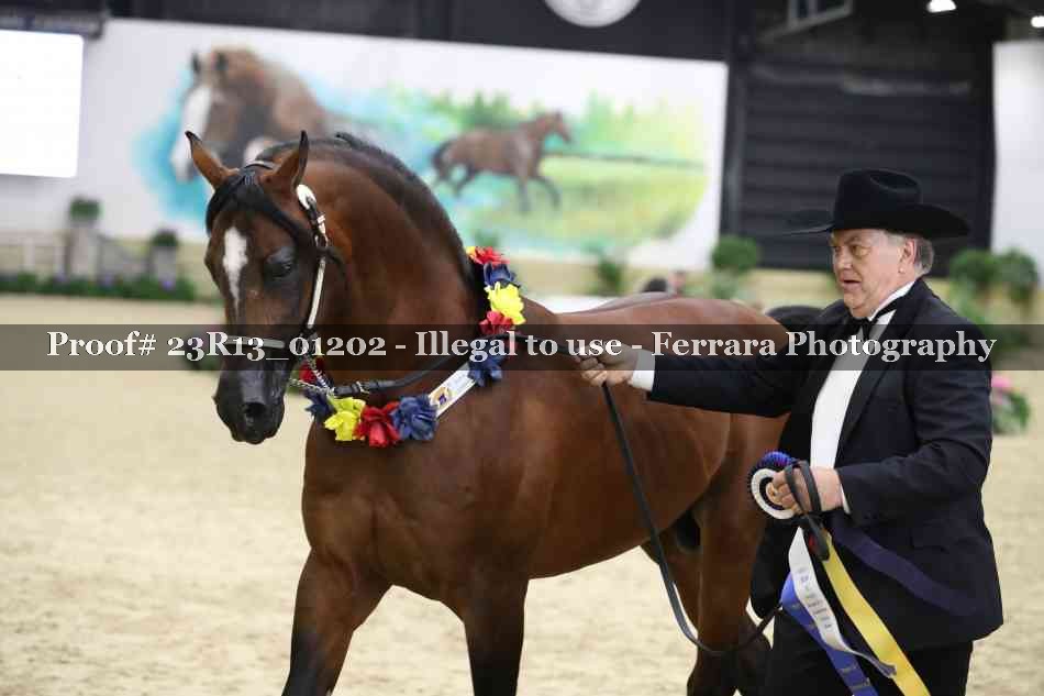 Proof 23R13_01202