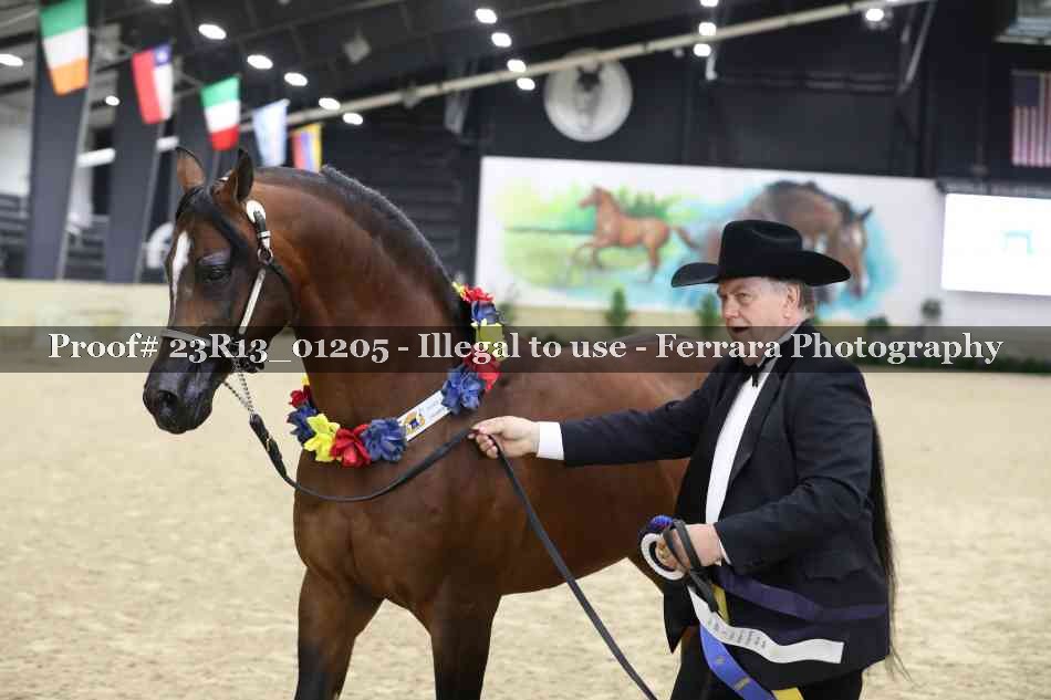Proof 23R13_01205