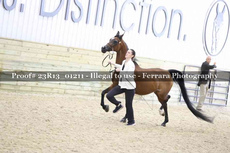 Proof 23R13_01211