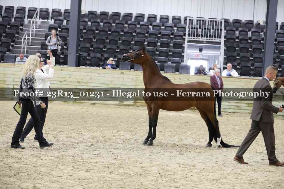 Proof 23R13_01231
