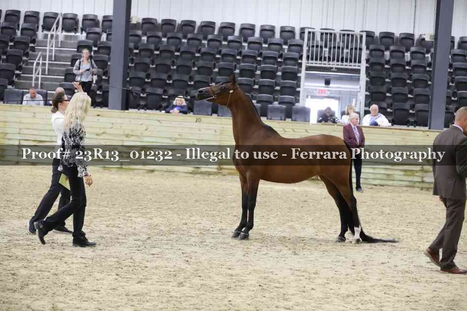 Proof 23R13_01232