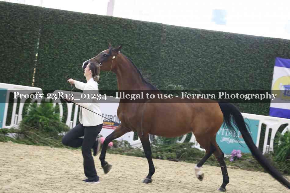 Proof 23R13_01234