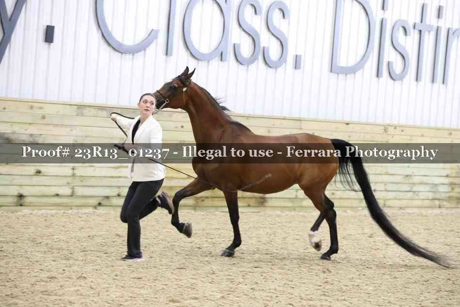 Proof 23R13_01237