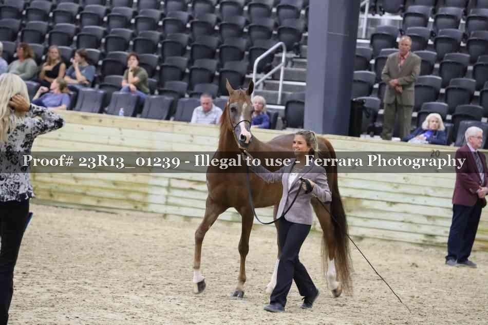 Proof 23R13_01239