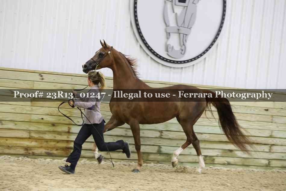 Proof 23R13_01247