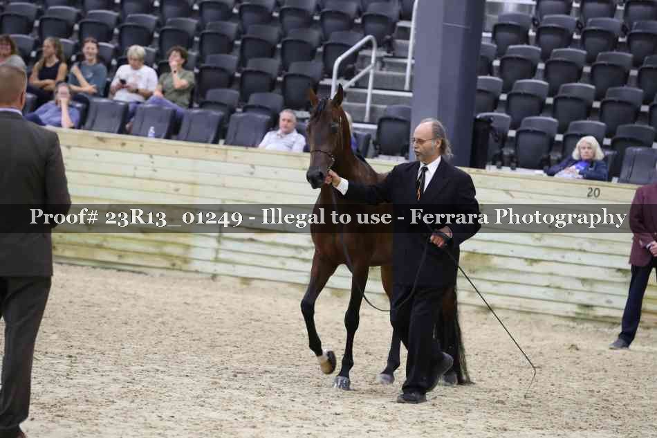 Proof 23R13_01249