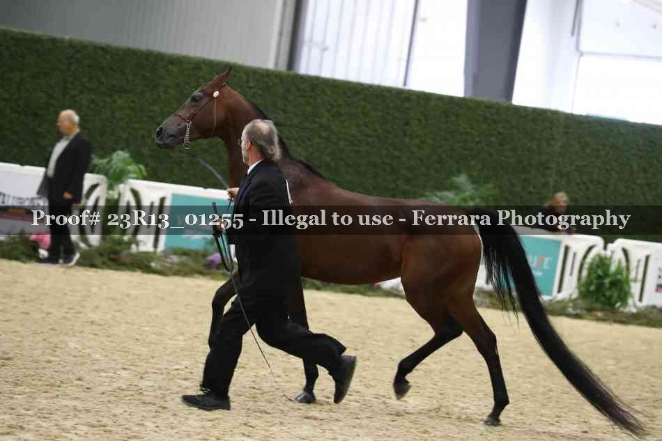Proof 23R13_01255
