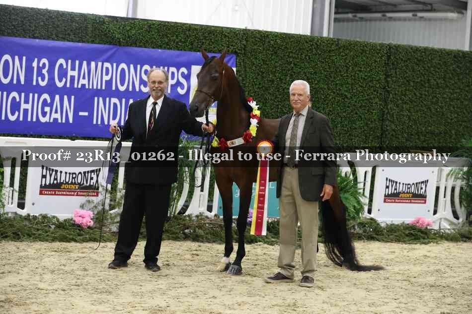 Proof 23R13_01262