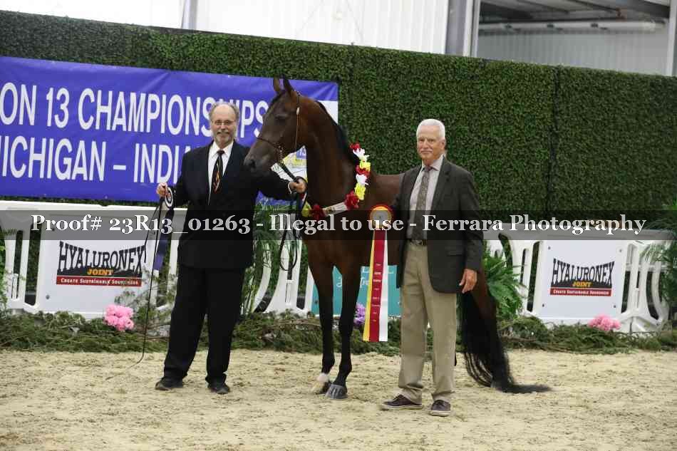 Proof 23R13_01263
