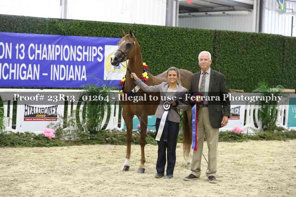 Proof 23R13_01264