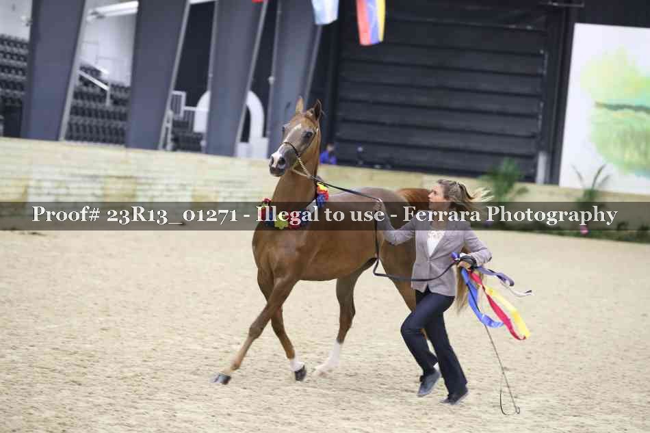 Proof 23R13_01271
