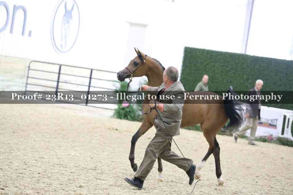 Proof 23R13_01273