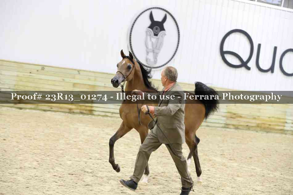 Proof 23R13_01274