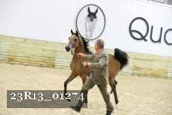 23R13_01274 proof