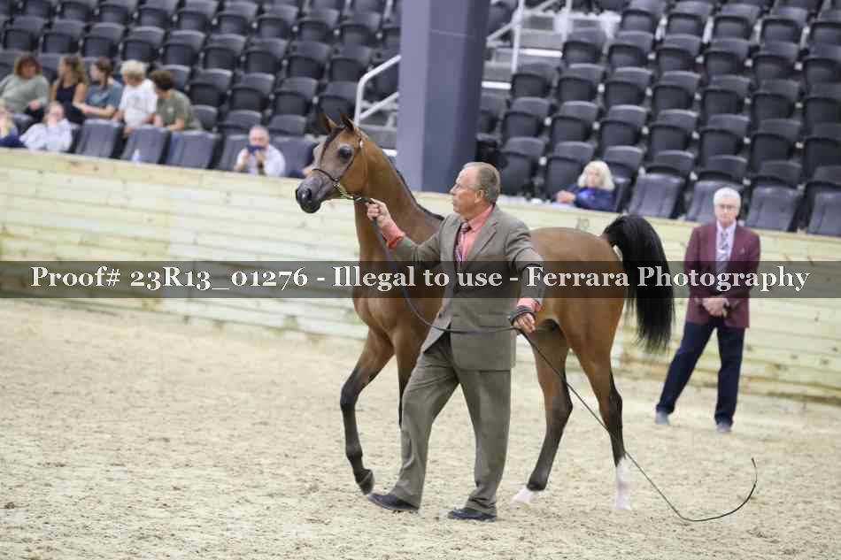 Proof 23R13_01276