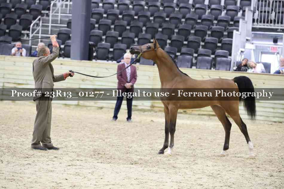 Proof 23R13_01277