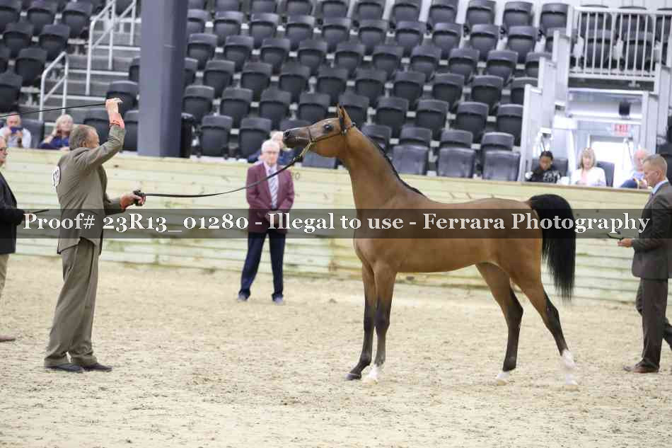 Proof 23R13_01280