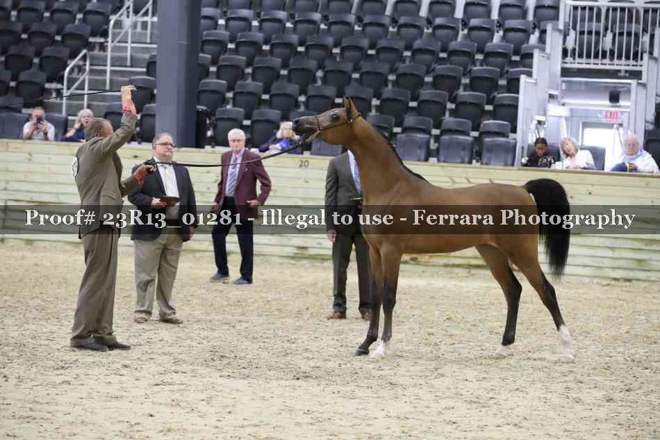Proof 23R13_01281