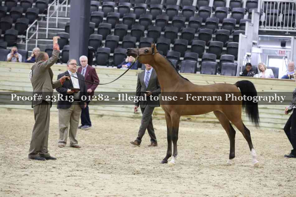 Proof 23R13_01282